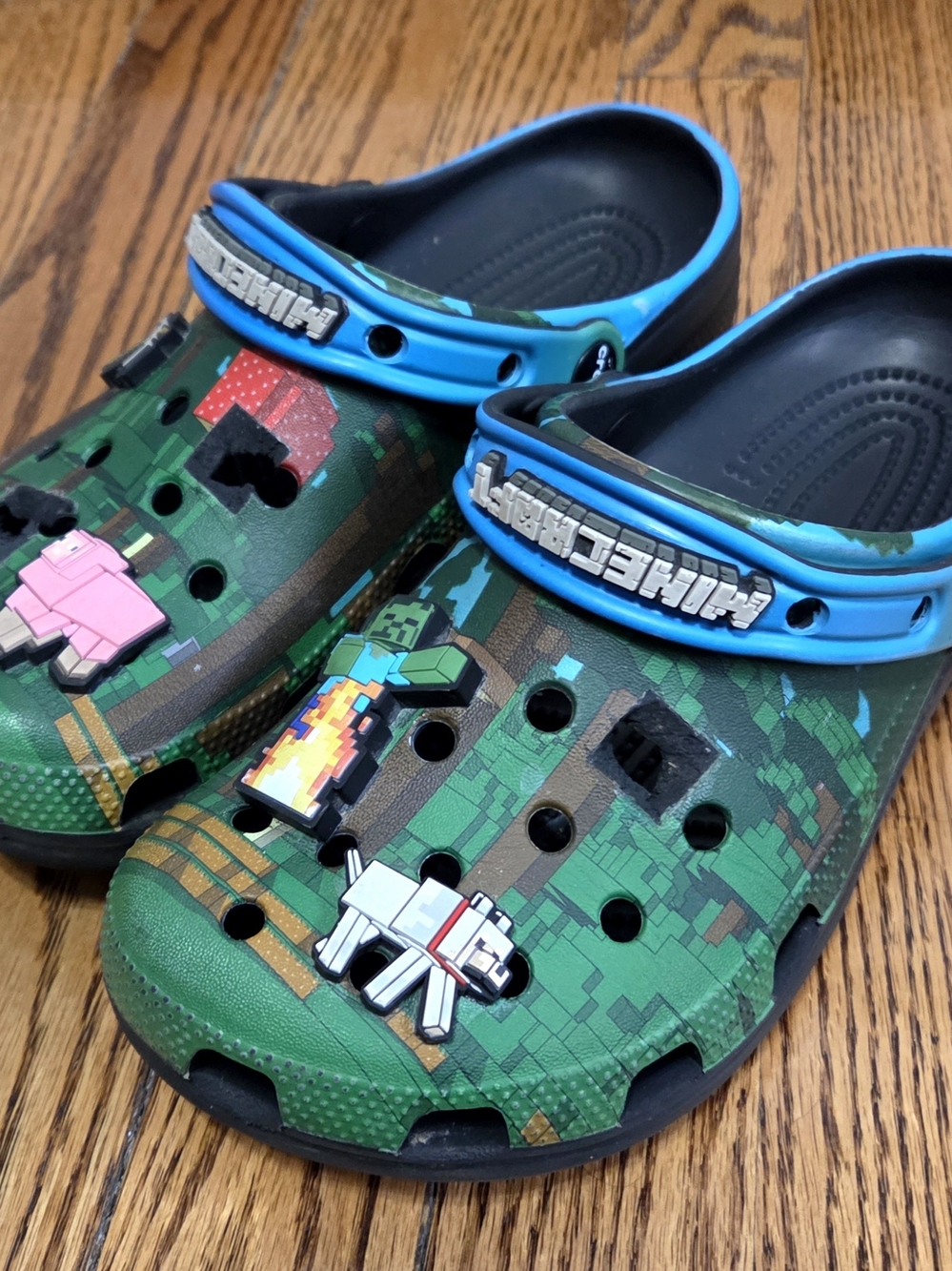 Kids/Juniors Crocs x Minecraft Clog Shoes in Black/Green/Blue